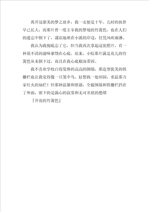 开花的竹篱笆作文700字