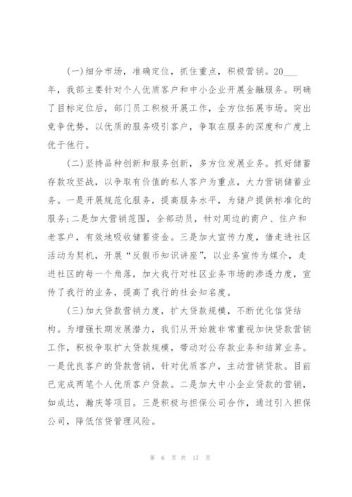 营销员的述职报告.docx