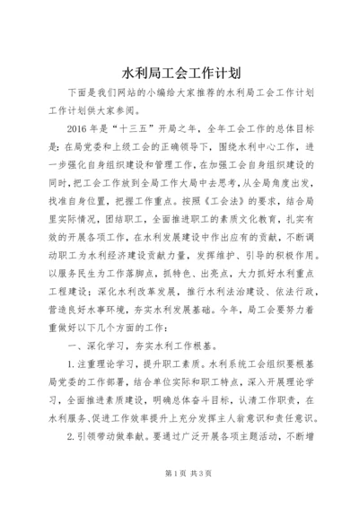 水利局工会工作计划.docx