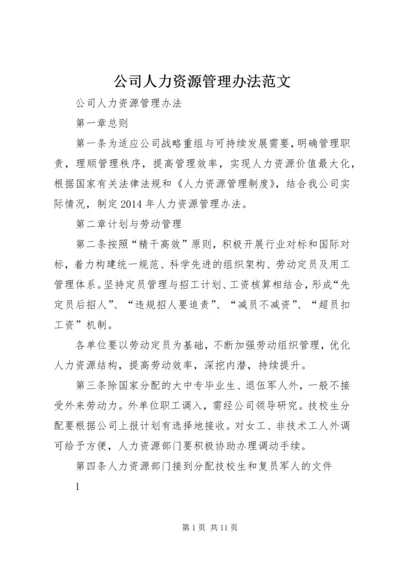 公司人力资源管理办法范文.docx