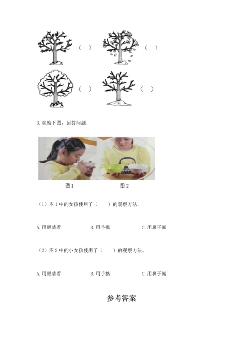教科版二年级上册科学期末测试卷（综合卷）.docx