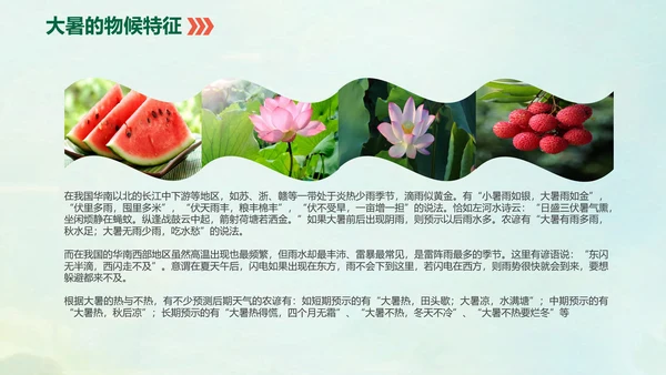 国风荷花二十四节气大暑教学PPT课件