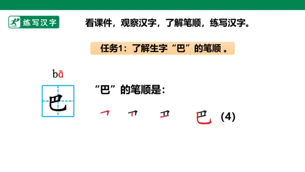 部编1A 第6单元 第6课 比尾巴（2）课件