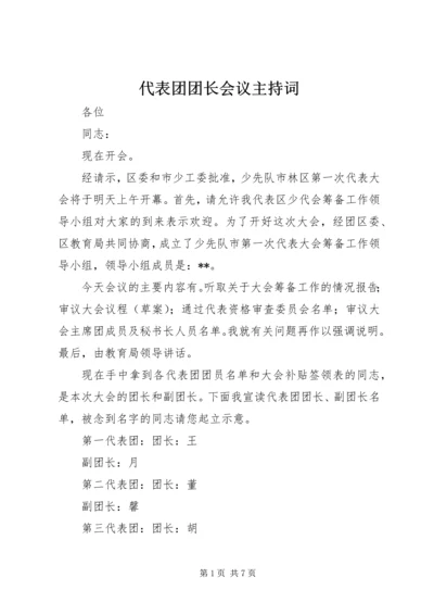 代表团团长会议主持词.docx