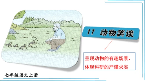 七上语文期中期末复习2_3词语运用每课晨读 课件(共47张PPT)