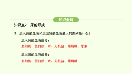 第四单元-第五章-人体内废物的排出课件-2024-2025学年七年级生物下学期人教版(2024)(共