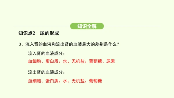 第四单元-第五章-人体内废物的排出课件-2024-2025学年七年级生物下学期人教版(2024)(共
