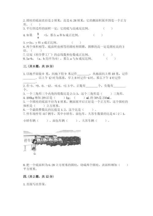 河南省平顶山市六年级下册数学期末测试卷及参考答案（满分必刷）.docx