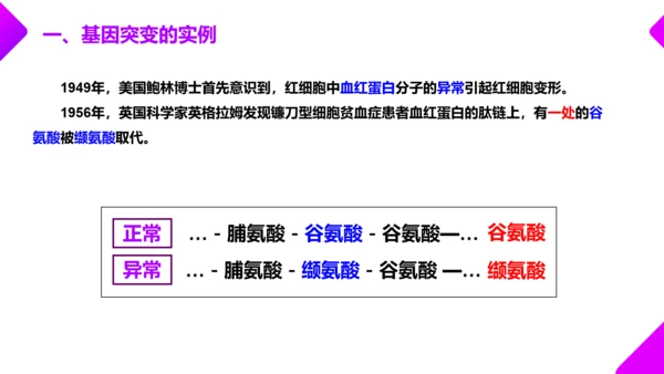基因突变和基因重组初高中生物PPT课件
