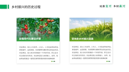 绿色简约商务乡村振兴建设新农村农业发展党课ppt模板