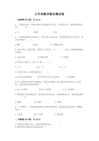 小升初数学期末测试卷精选.docx