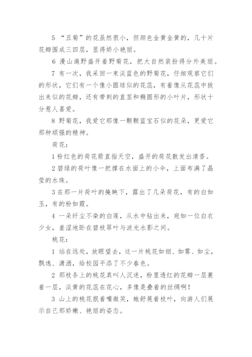 形容各种花的句子与词语.docx