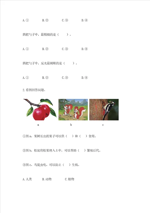 新教科版二年级上册科学期末测试卷夺冠系列