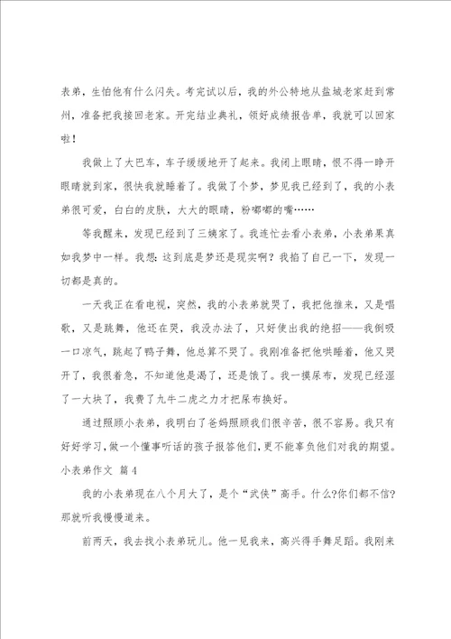 精选小表弟作文六篇