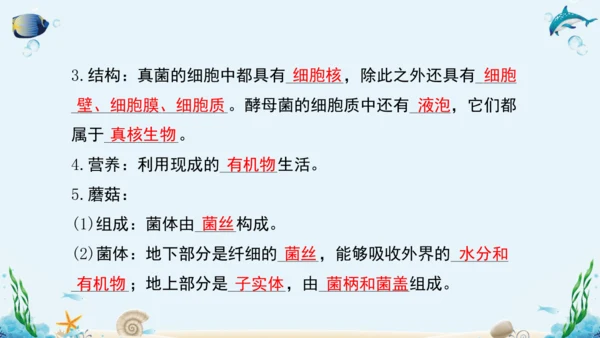 人教版八年级生物上册5.4《细菌和真菌》复习课件（含31张ppt）