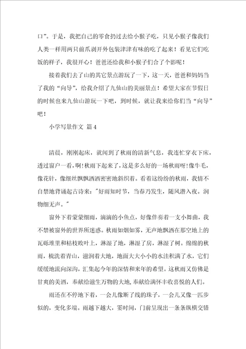 关于小学写景作文合集6篇