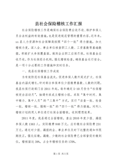 县社会保险稽核工作汇报.docx