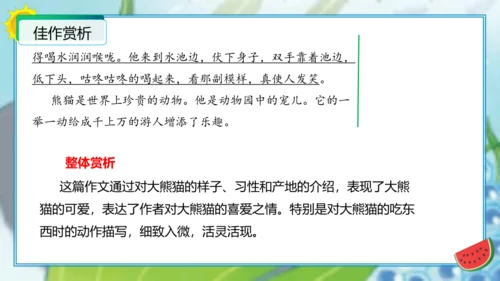 统编版三年级语文下册单元作文能力提升第七单元习作：国宝大熊猫（教学课件）