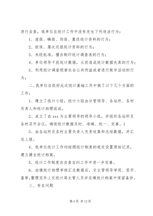 乡镇统计自检自查报告.docx