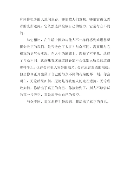 与众不同的勇气作文800字.docx