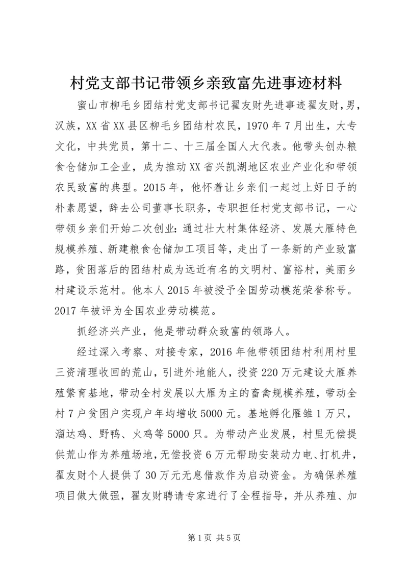 村党支部书记带领乡亲致富先进事迹材料.docx