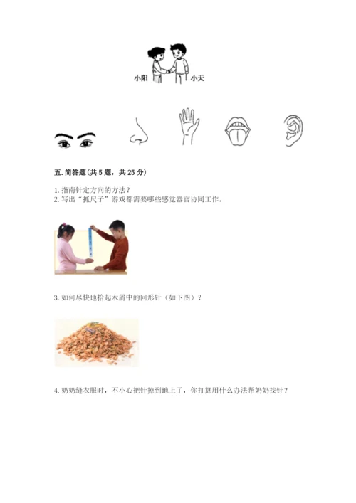 教科版小学科学二年级下册 期末测试卷（含答案）.docx