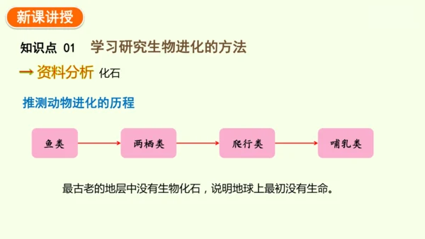 7.3.2生物进化的历程-八年级生物人教版下学期同步精品课件(共34张PPT)