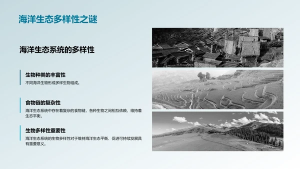 可持续渔业管理