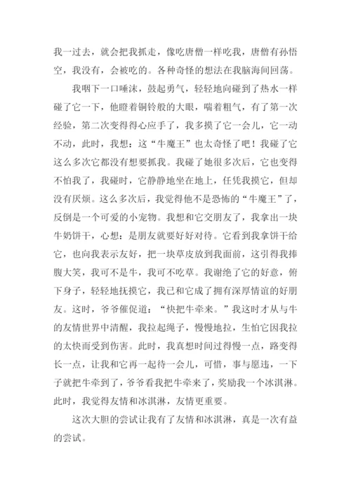 一次的尝试作文-1.docx
