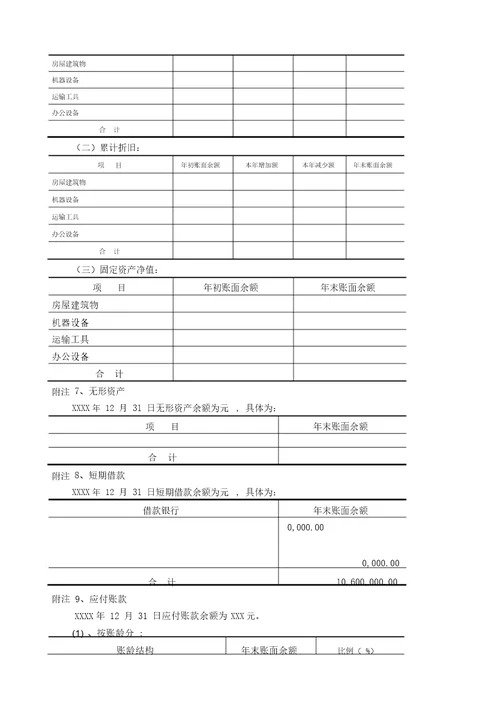 审计报告会计报的表附注说明新