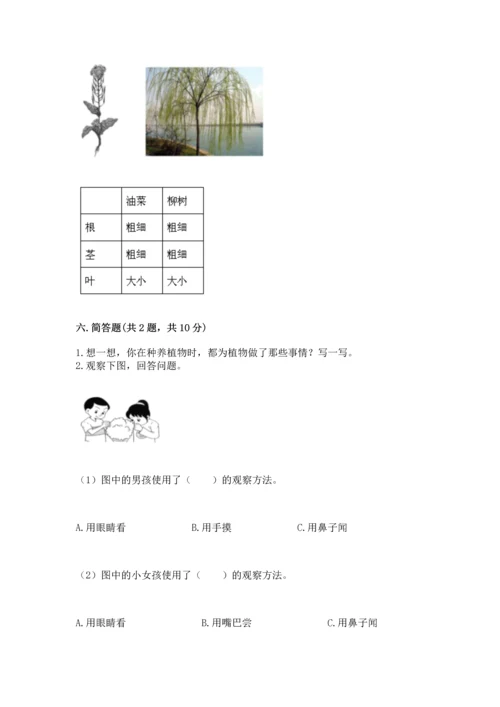 教科版科学一年级上册第一单元《植物》测试卷附完整答案【必刷】.docx