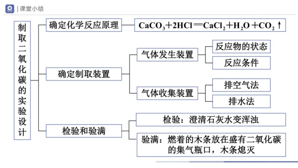 6.2-1二氧化碳制取的研究 第1课时 课件(共21张PPT) -2023-2024学年九年级化学上