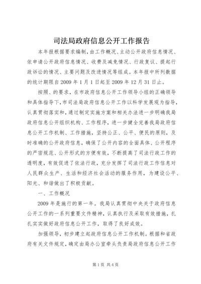 司法局政府信息公开工作报告.docx