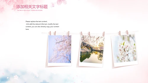 唯美浪漫十里桃花开樱花节樱花季桃花ppt
