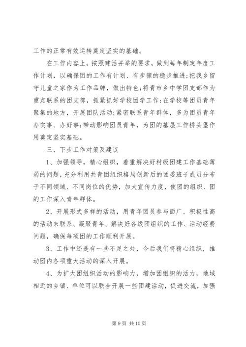 乡镇大团委建设自查报告某年.docx