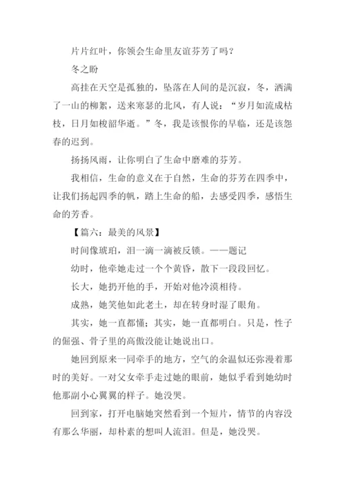最美的风景作文-1.docx