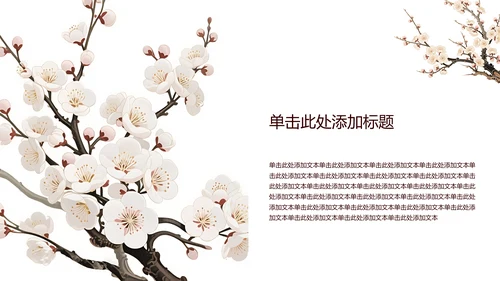 白色简约风梅花介绍PPT模板