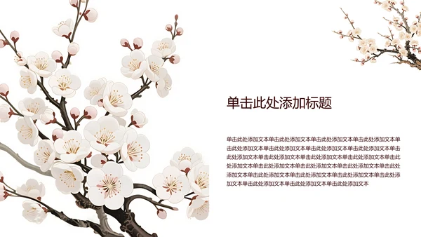 白色简约风梅花介绍PPT模板