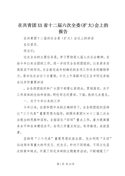 在共青团XX省十二届六次全委(扩大)会上的报告 (5).docx