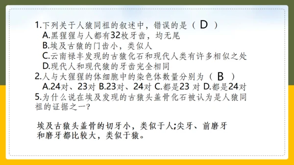 人类的起源和进化生物课通用PPT课件