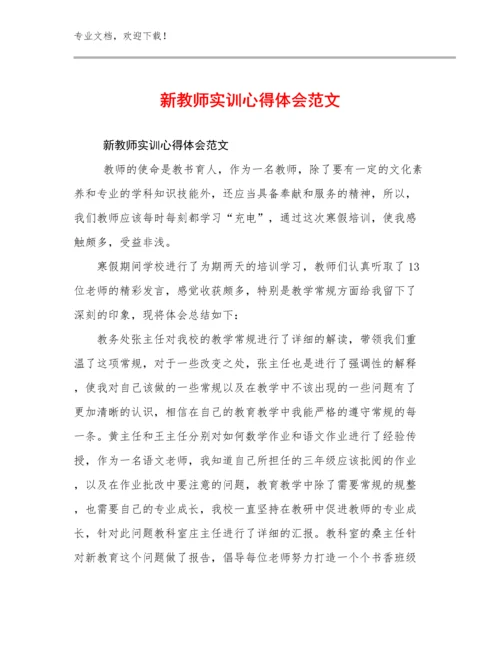 2024新教师实训心得体会范文例文8篇文档选编.docx