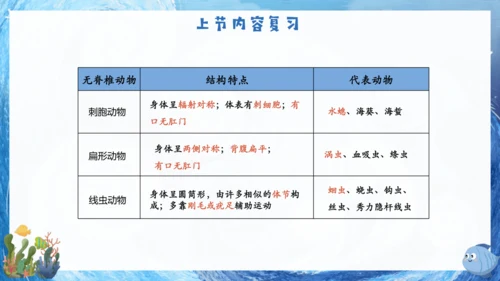 人教版生物七年级上册2.2.2《脊椎动物》课件(共22张PPT)+视频素材