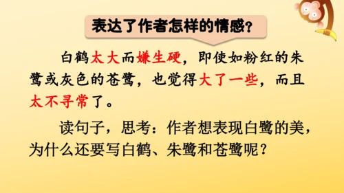 1 白鹭   课件