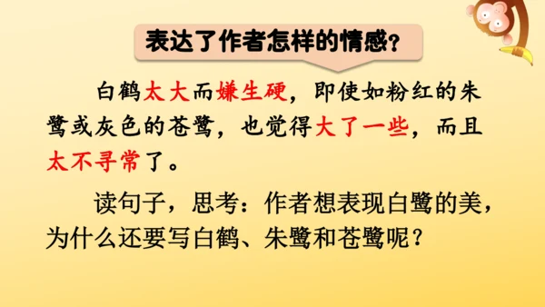 1 白鹭   课件