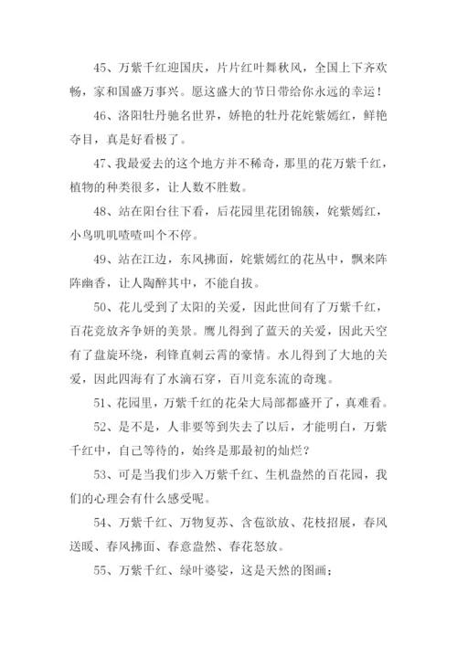 万紫千红的意思.docx