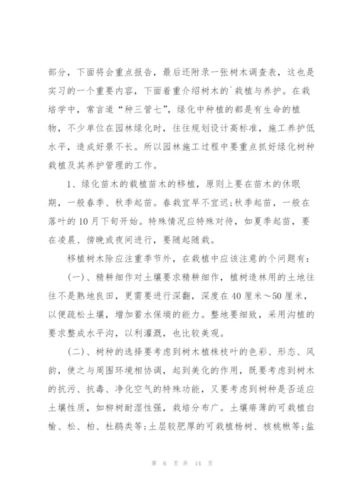 个人社会实践报告范文.docx