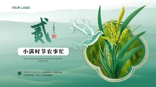 小满中国风教育教学通用模板PPT模板