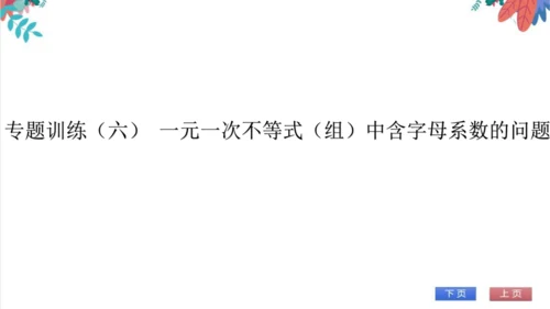 人教版数学7下 专题训练（五）  一元一次不等式组的应用 习题课件（含答案）