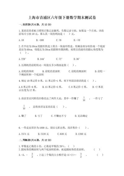 上海市青浦区六年级下册数学期末测试卷必考题