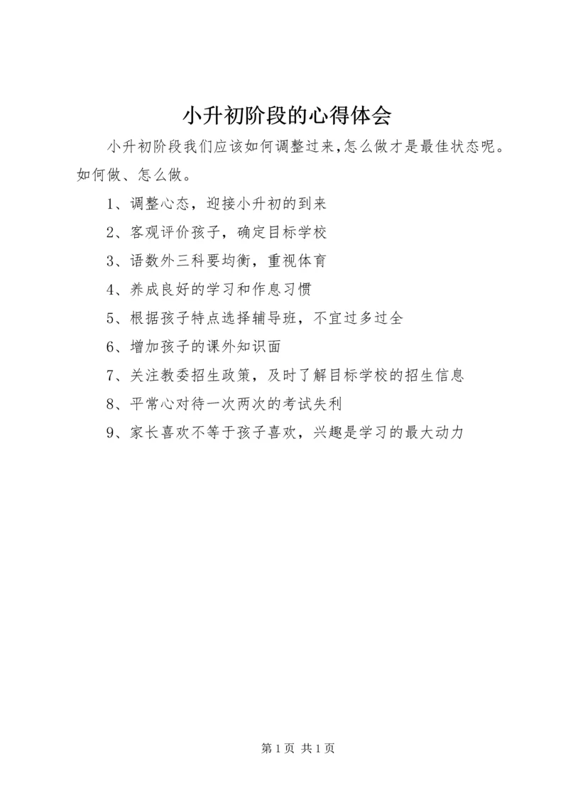 小升初阶段的心得体会.docx
